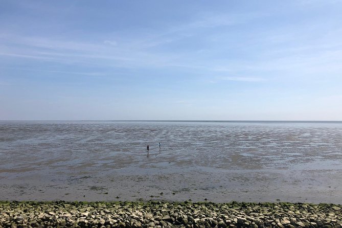 Full day tour to Texel - Friesian Islands - from Amsterdam - Clothing, food, and practical preparation