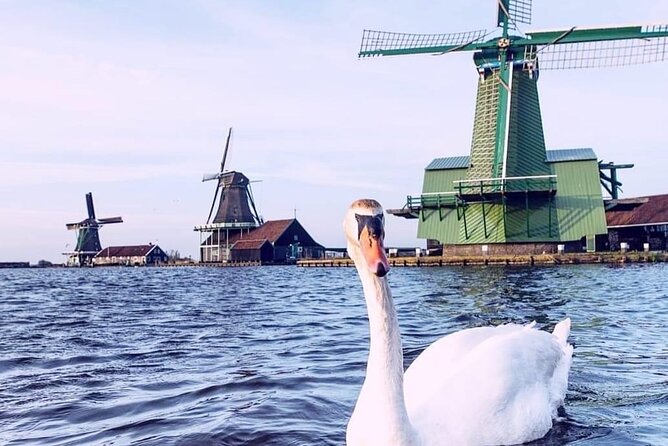 Giethoorn, Private Boat Tour & Zaanse Schans Windmills - Should you book the Zaanse Schans and Giethoorn tour?