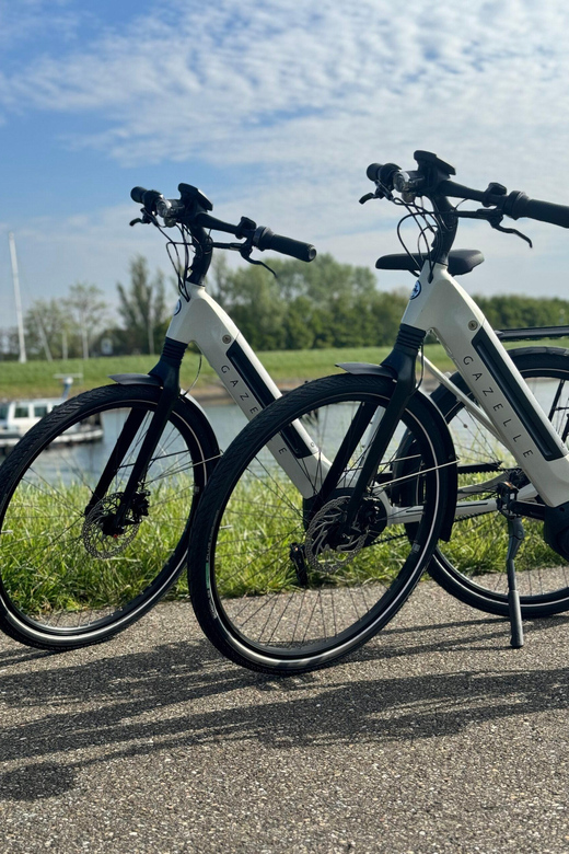 Goes: Full-Day E-Bike Rental - Should you book the Goes e-bike rental?