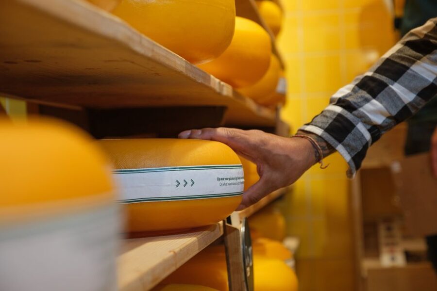 Gouda: Gouda Cheese Experience Entry Ticket - Is the $19 ticket good value?