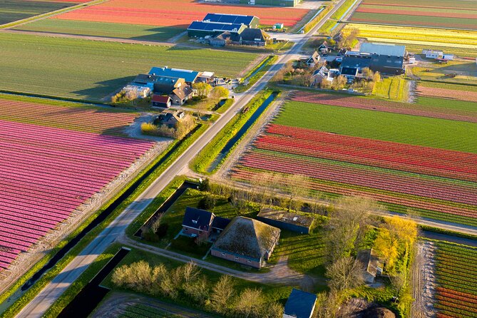 Guided Bike Tour along the Dutch Tulip Fields in Noord Holland - Key points at a glance