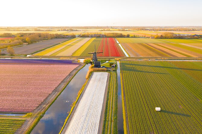 Guided Bike Tour along the Dutch Tulip Fields in Noord Holland - Why this tulip tour feels different from a flower park