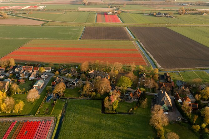 Guided Bike Tour along the Dutch Tulip Fields in Noord Holland - Starting in Schagen at 10:00 a.m.