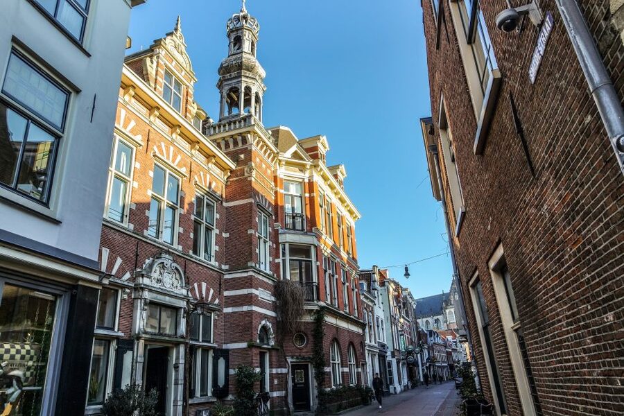 Haarlem: City Highlights Walking Tour - De Koepel, De Adriaan, and the Spaarne views