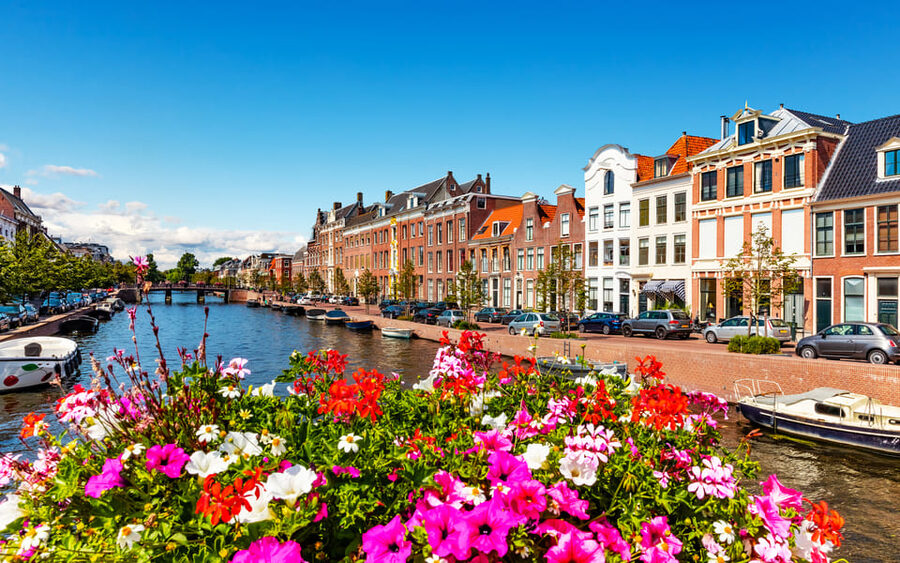 Haarlem Highlights Bike Tour - Who will get the most from this Haarlem bike tour?