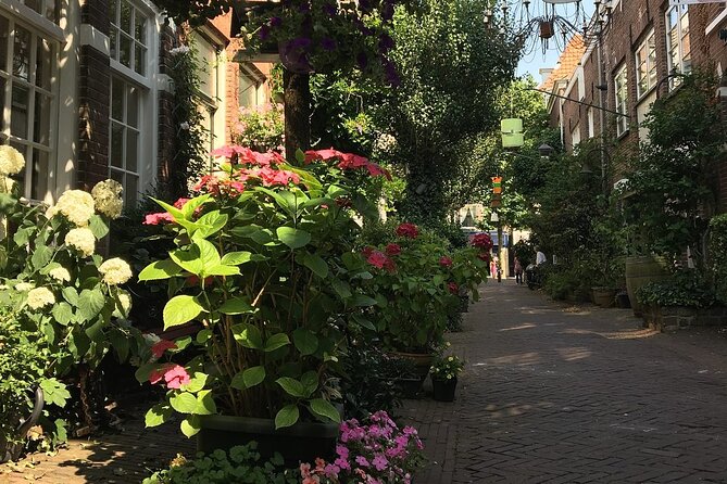 Haarlem Old Town Private Walking Tour - Teylers Museum, merchant wealth, and Dutch sea power