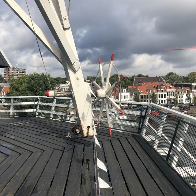 Haarlem: Windmill 'De Adriaan' Guided Tour - Who should book this Haarlem activity?