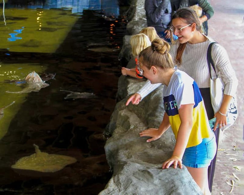 Harderwijk: Dolfinarium Entry Ticket - Booking Flexibility and Timing