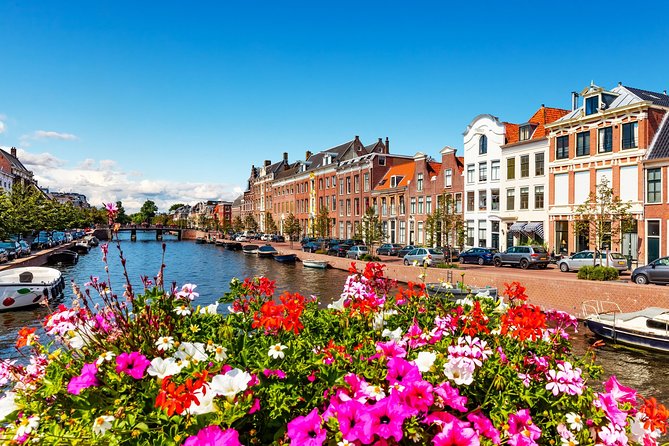 Highlight Bike Tours Haarlem - History and architecture from the saddle