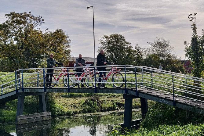 Highlight Bike Tours Haarlem - What the two-hour ride covers