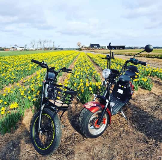 Hillegom: E-Scooter or E-Bike Rental in the Bulb Region - Choosing an e-bike or electric scooter