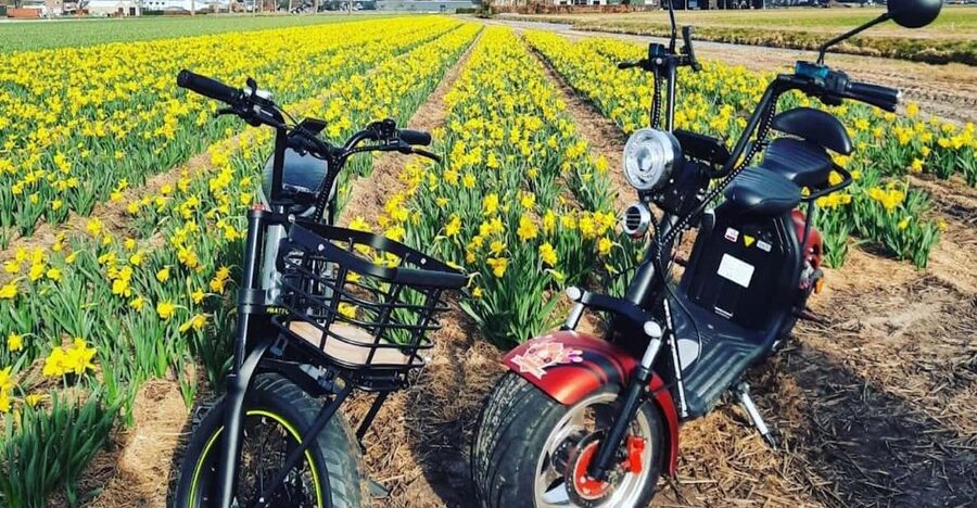 Hillegom: E-Scooter or E-Bike Rental in the Bulb Region - Getting set up with the map and safety tips