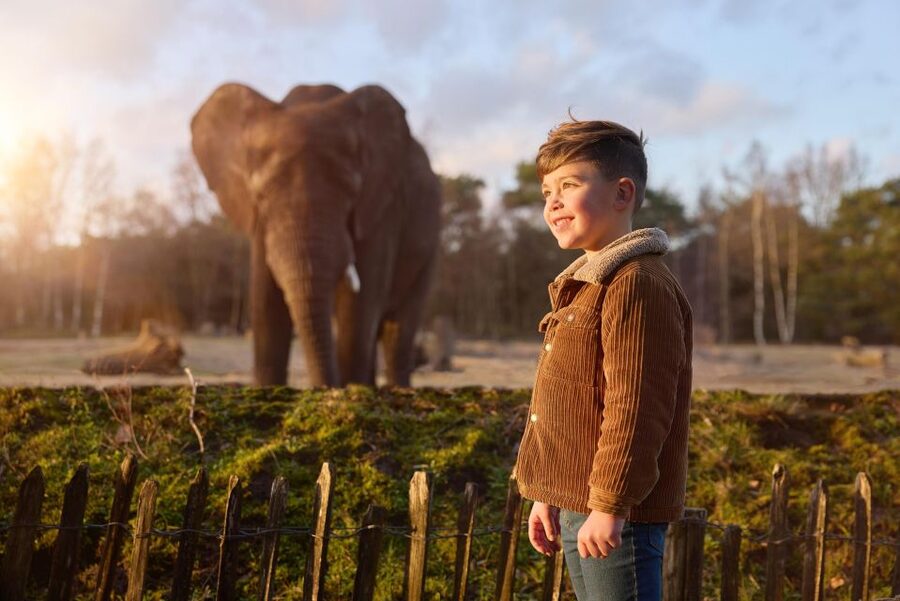 Hilvarenbeek: Safaripark Beekse Bergen Entry Ticket - Key Points at a Glance