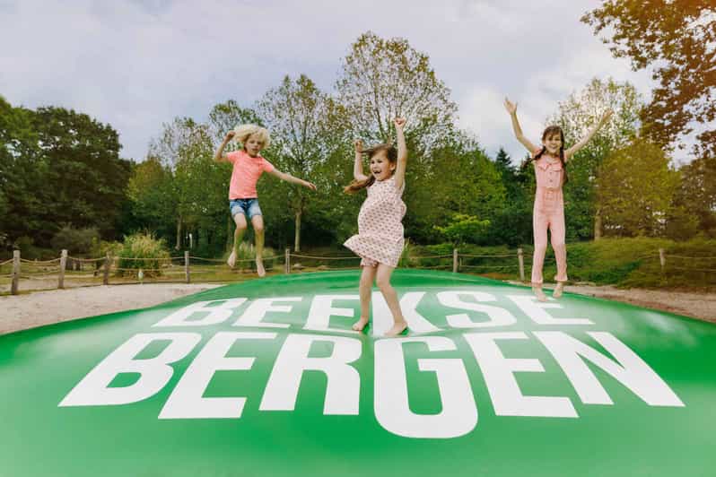 Hilvarenbeek: Speelland Beekse Bergen Entrance Ticket - Staff, language, and access