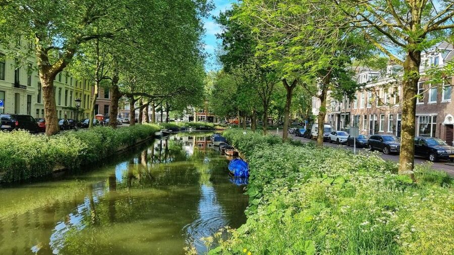 Historical Utrecht: Private Walking Tour with a Local Guide - Utrecht’s canals have two levels