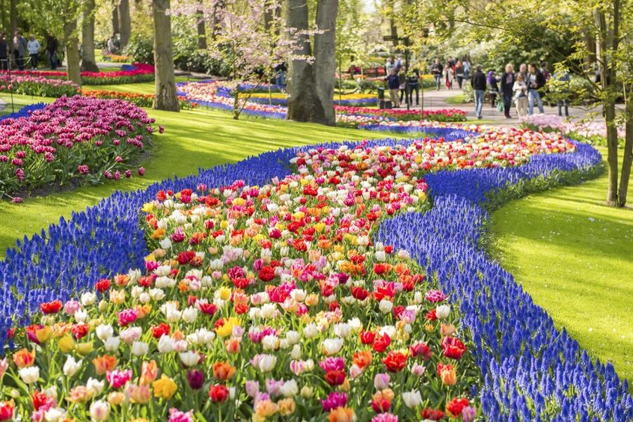 Keukenhof: Flower Fields Small-Group Cultural Bike Tour - Tulip Experience Amsterdam: the tour’s useful indoor stop