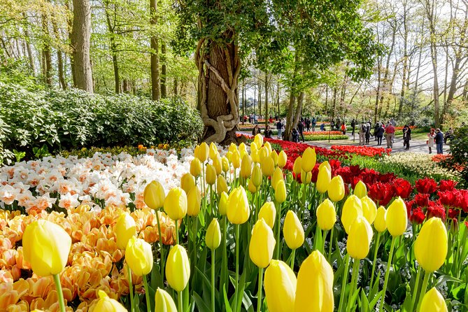 Keukenhof, Flower Fields, Volendam and Zaanse Schans Small-Group Tour - The nine-hour plan from Amsterdam
