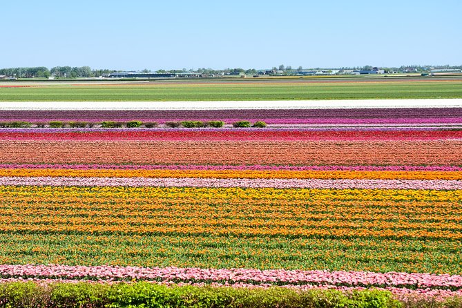 Keukenhof, Flower Fields, Volendam and Zaanse Schans Small-Group Tour - The optional Amsterdam canal cruise