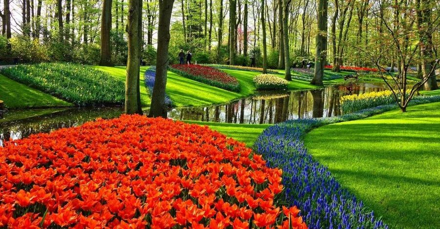 Keukenhof Gardens and Tulip Experience Tour from Amsterdam - Why this pairing works better than a garden visit alone