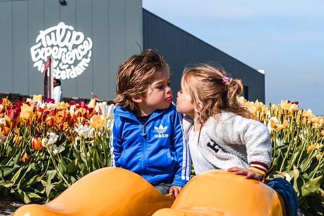 Keukenhof Gardens and Tulips Private Tour from Amsterdam - Why the private car matters