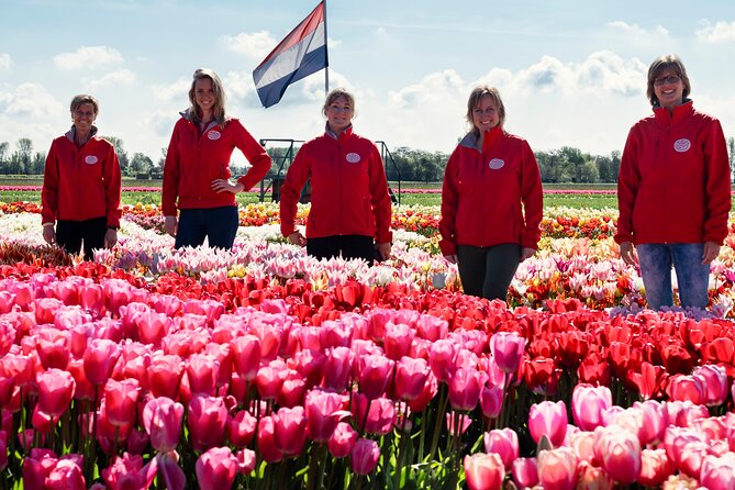 Keukenhof Gardens and Tulips Private Tour from Amsterdam - The day’s timing and practical rhythm