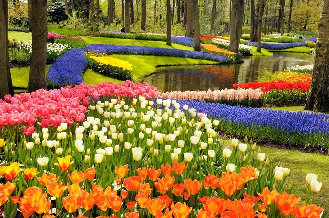 Keukenhof Gardens and Tulips Private Tour from Amsterdam - Who will appreciate this experience most
