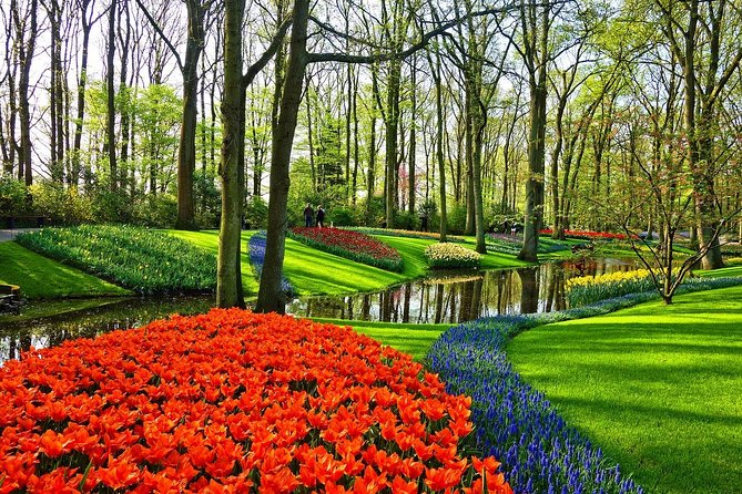 Keukenhof Gardens and Tulips Private Tour from Amsterdam - Should you book the Keukenhof private tour?