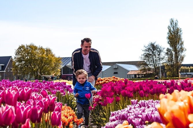 Keukenhof Gardens and Tulips Private Tour from Amsterdam - Keukenhof: the grand flower display
