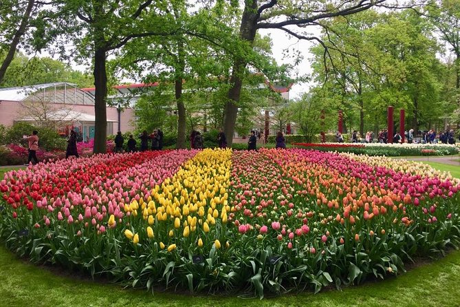 Keukenhof's Tulips and Windmills Small-Group Tour from Amsterdam - Climb Molen De Kat for the best view