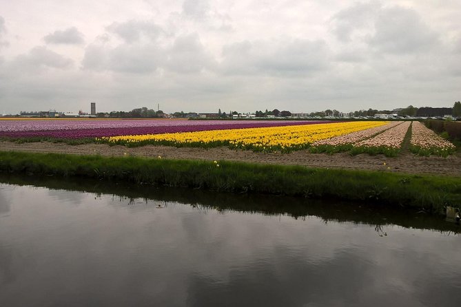 Keukenhof's Tulips and Windmills Small-Group Tour from Amsterdam - Three hours inside Keukenhof Gardens
