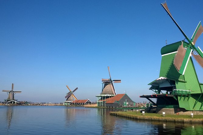 Keukenhof's Tulips and Windmills Small-Group Tour from Amsterdam - The timing of the flowers matters