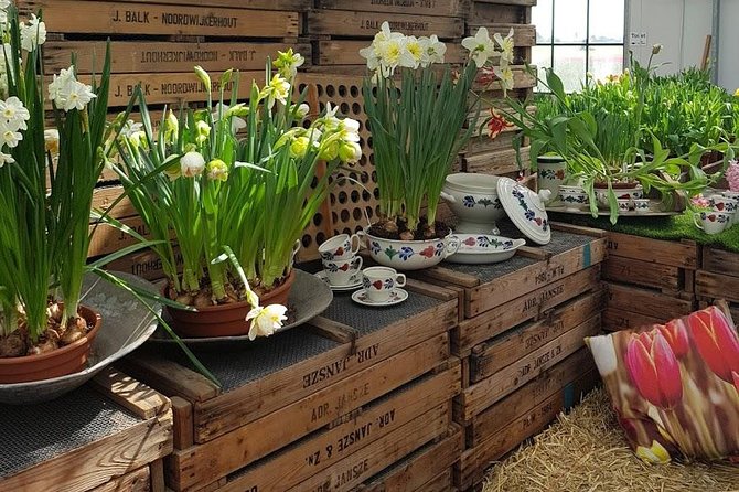 Keukenhof Skip-the-line Tickets: Countryside & Farm Private Tour - Why this route works so well from Amsterdam