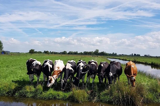 Keukenhof Skip-the-line Tickets: Countryside & Farm Private Tour - Windmills and working traditions at Zaanse Schans