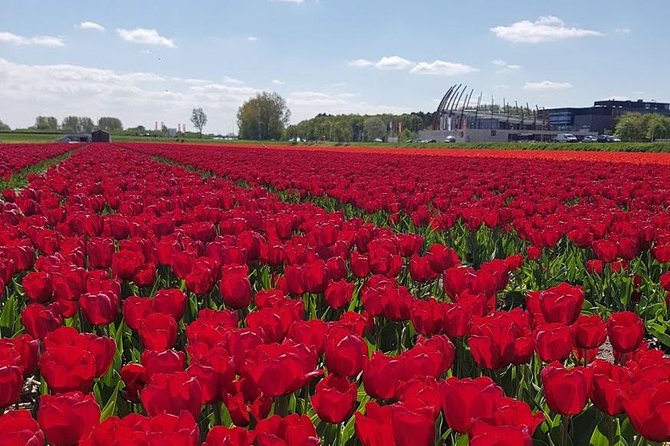Keukenhof Skip-the-line Tickets: Countryside & Farm Private Tour - Value at $548.47 per person