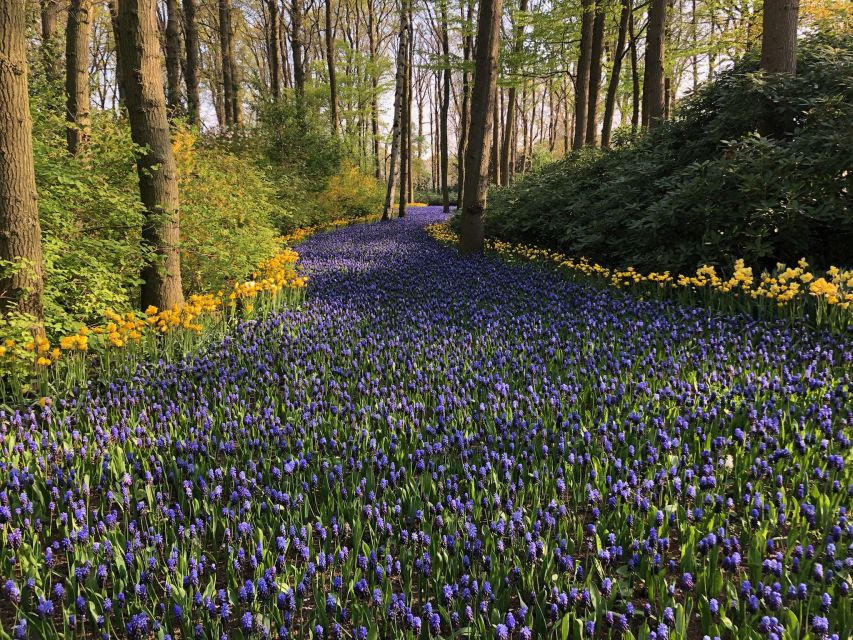 Keukenhof, Tulip Farm, Flower Fields & Windmills - Volendam, with colourful houses and a fishing-village feel
