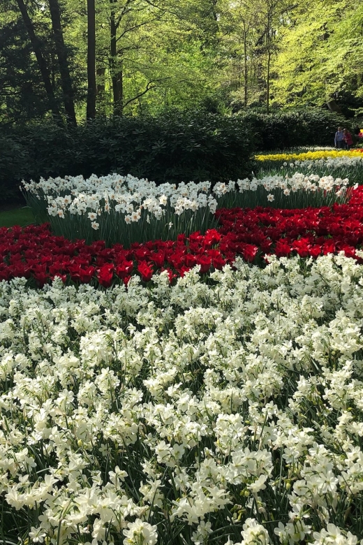 Keukenhof, Tulip Farm, Flower Fields & Windmills - Starting in a private minivan from Amsterdam