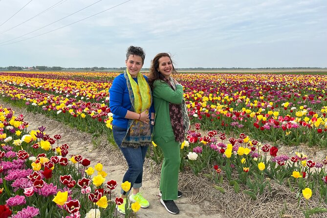 Keukenhof, Tulip Farm, Flower Fields & Zaanse Schans Windmills - Zaanse Schans and the working windmills