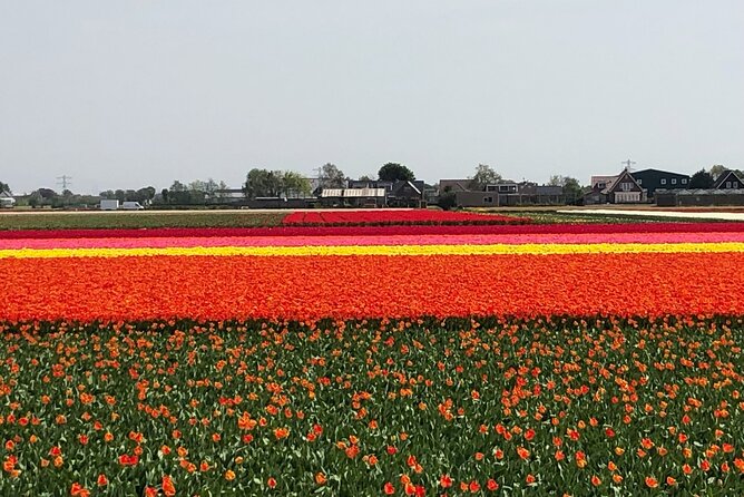 Keukenhof, Tulip Farm, Flower Fields & Zaanse Schans Windmills - What the price includes, and what it does not