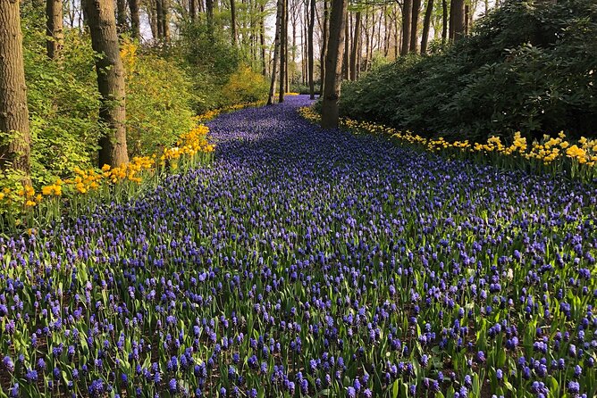 Keukenhof, Tulip Farm, Flower Fields & Zaanse Schans Windmills - Keukenhof: four hours among the spring flowers