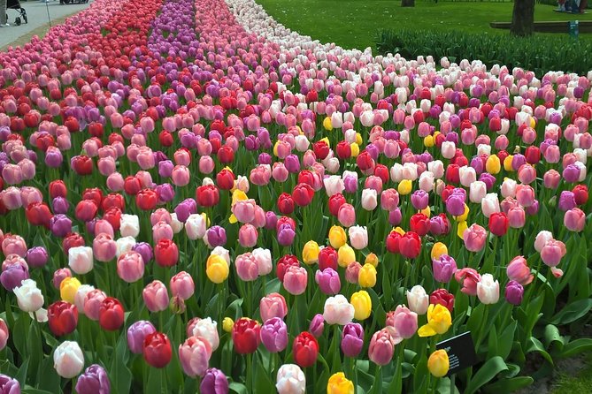 Keukenhof, Zaanse Schans Windmills Private Tour with Lunch - Why this private combination works