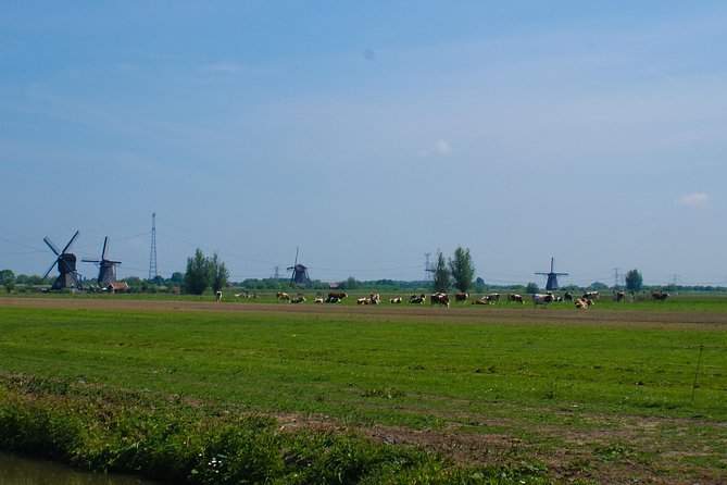 Kinderdijk Area Cycling Tour - The cheese farm and ice-cream stop