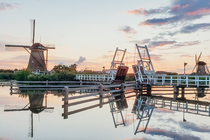 Kinderdijk, The Hague, Mauritshuis Private Tour from Amsterdam - The minivan makes a long day easier