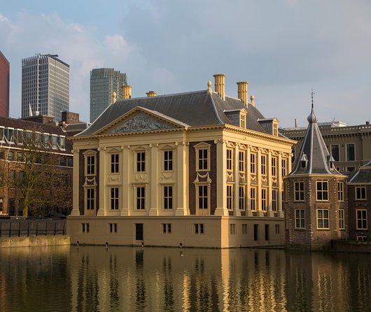 Kinderdijk, The Hague, Mauritshuis Private Tour from Amsterdam - Mauritshuis is the strongest choice for art lovers