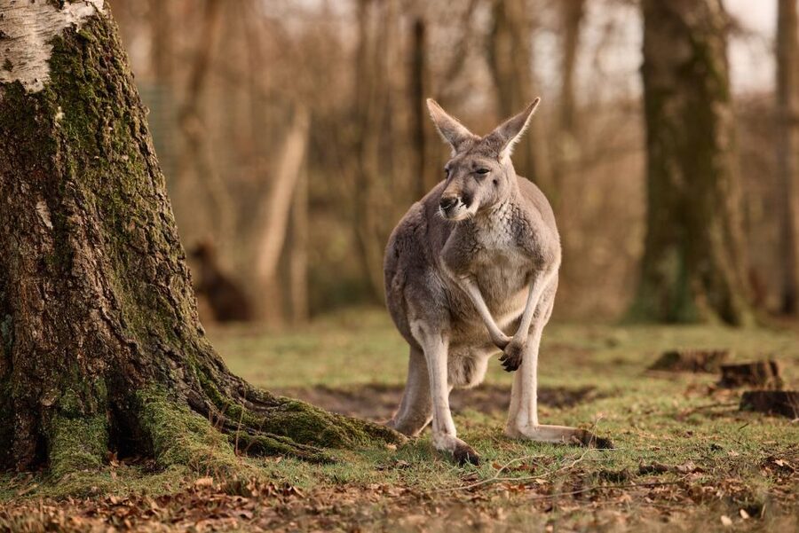 Leewarden: AquaZoo Entry Ticket - Key points at a glance