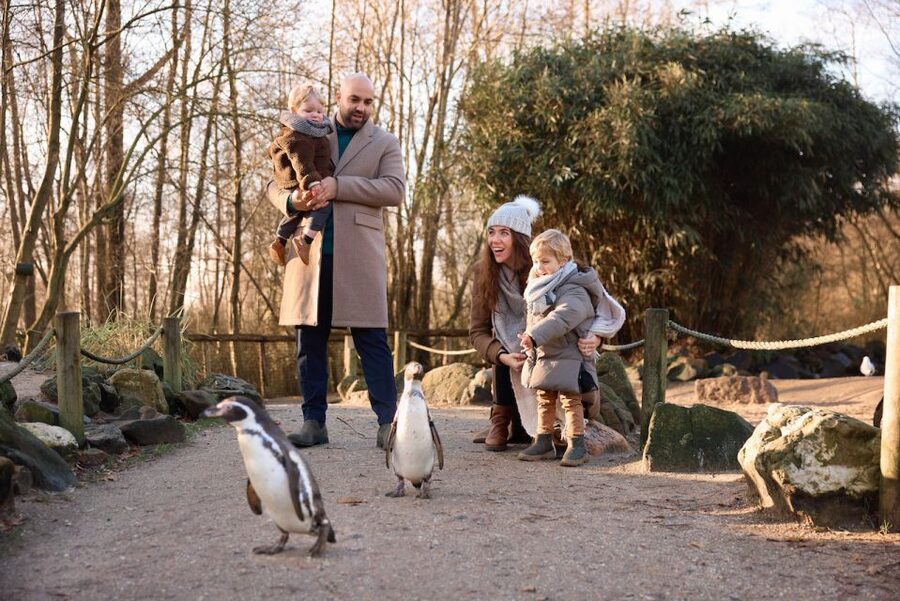 Leewarden: AquaZoo Entry Ticket - What a full day at AquaZoo feels like