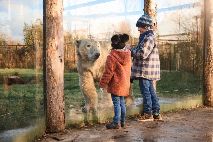 Leewarden: AquaZoo Entry Ticket - Who will get the most from this ticket