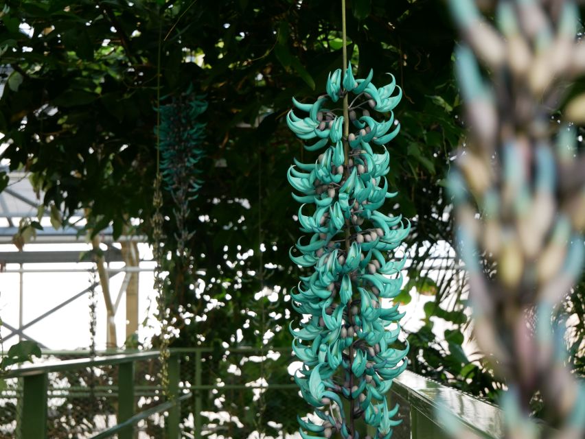 Leiden: Hortus Botanicus Entry Ticket - The Japanese Garden and Plant Exchange