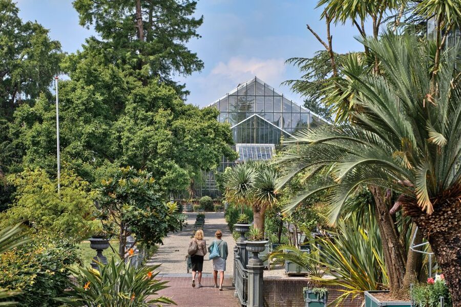 Leiden: Hortus Botanicus Entry Ticket - The Grand Café and Souvenir Shop