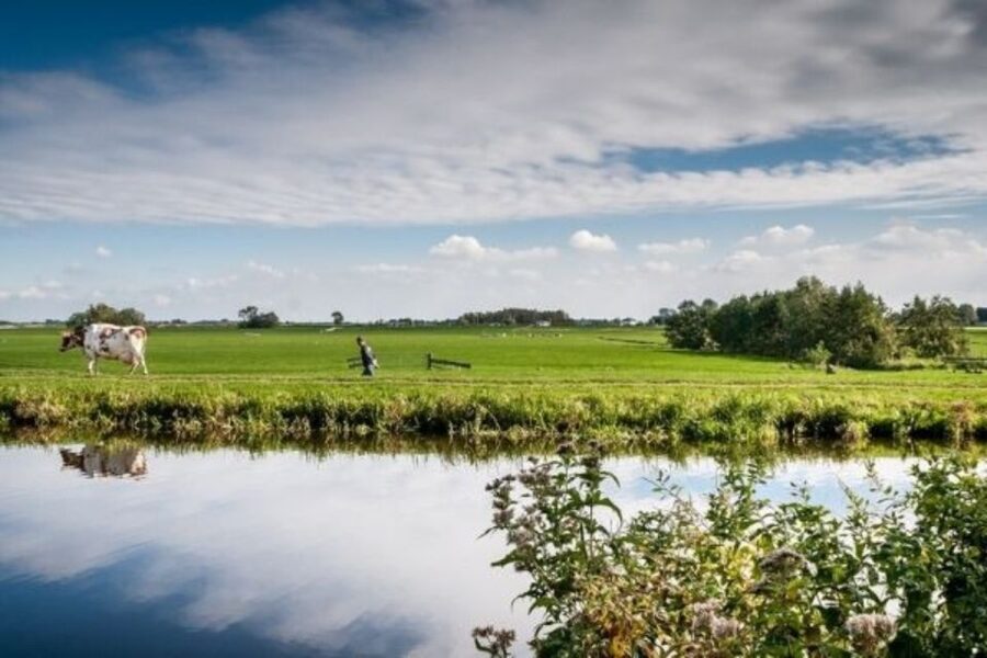 Leiden: Windmill and Countryside Cruise near Keukenhof - Why this small cruise tells a big Dutch story