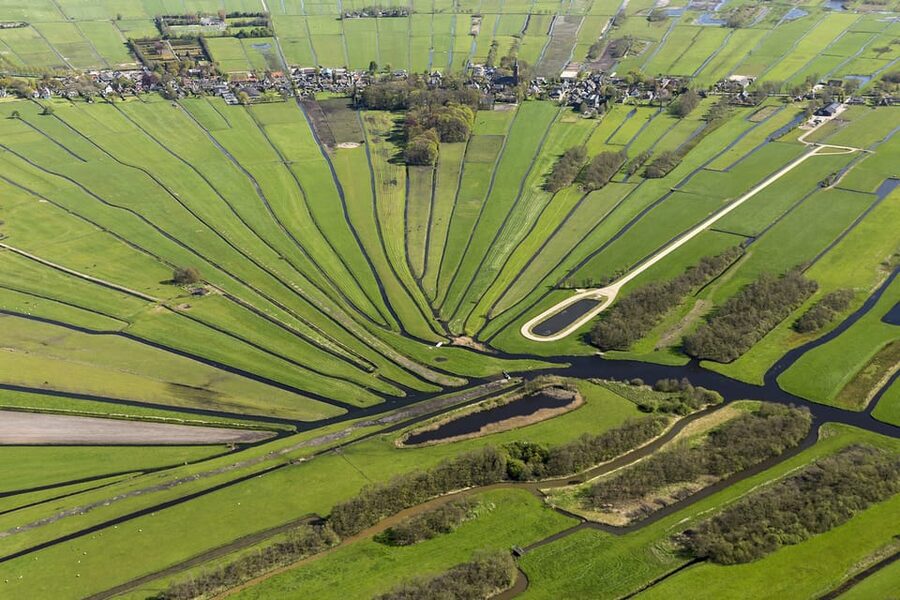 Lisse: Drive-it-Yourself Dutch Countryside GPS Audio Tour - The organic fruit orchard and biological cheese farm